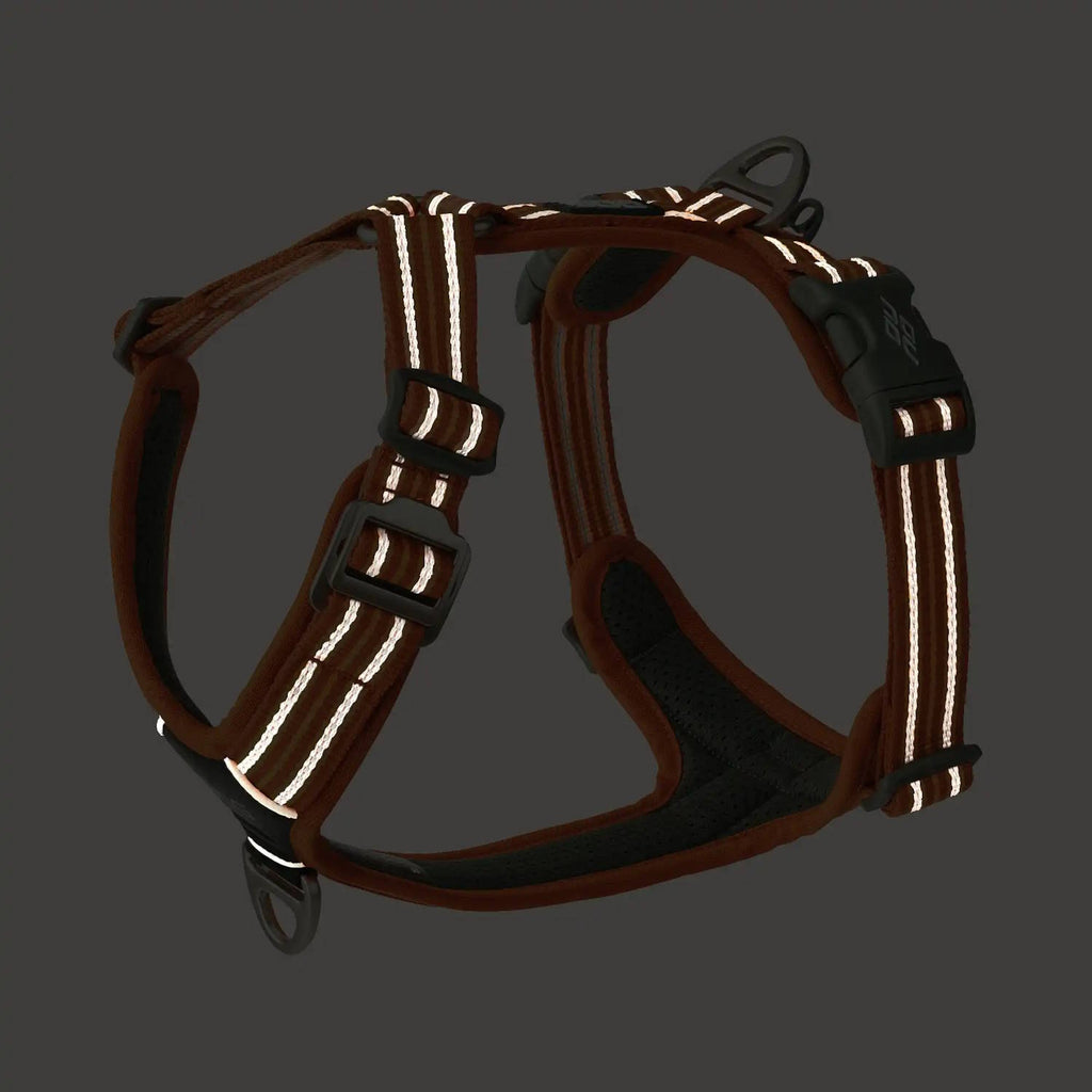 Dog Copenhagen Comfort Walk Air