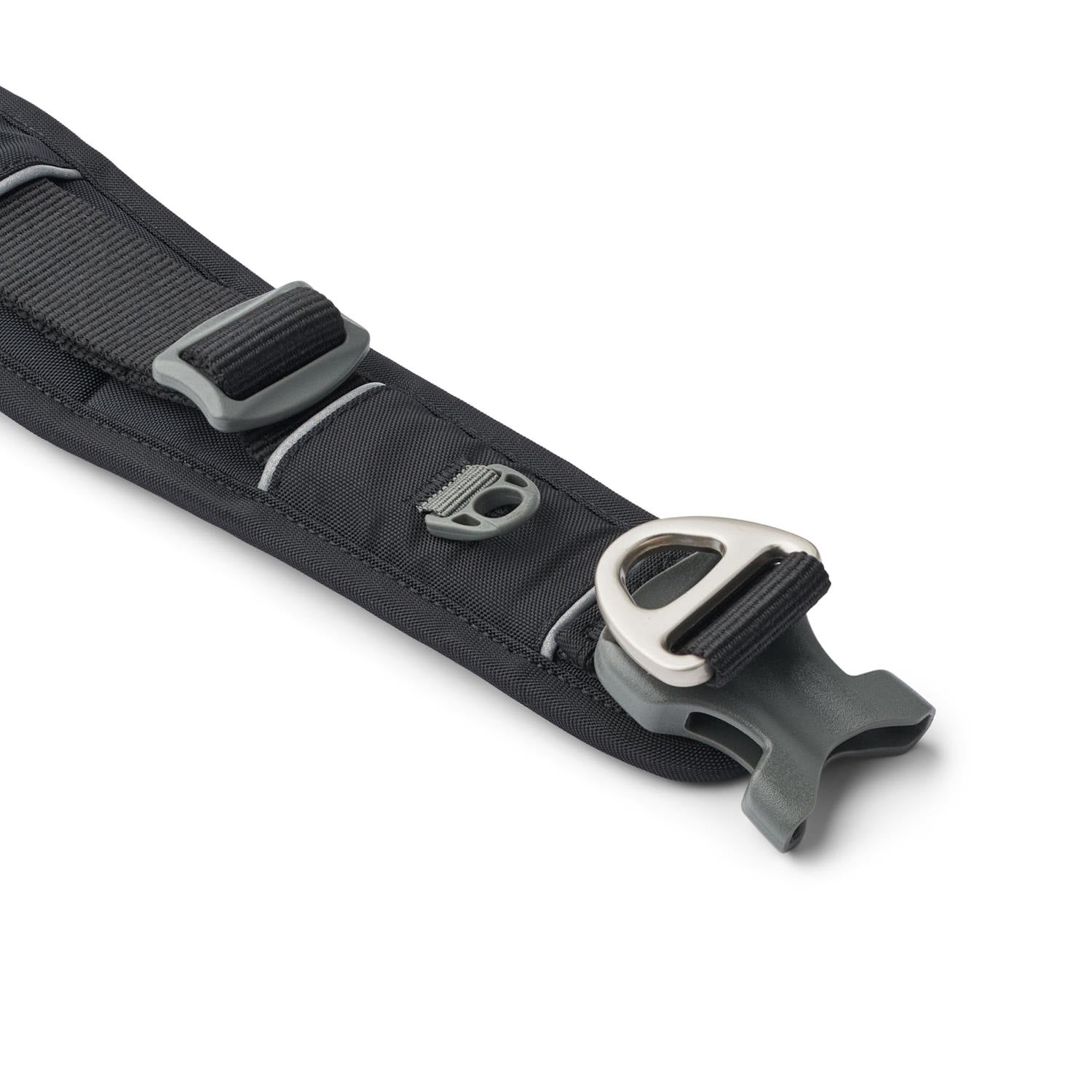 Dog Copenhagen Urban Explorer